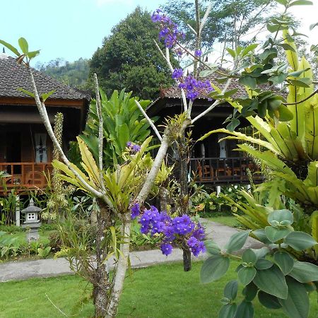Kubu Alas Tunggal Villa Sidemen  Εξωτερικό φωτογραφία